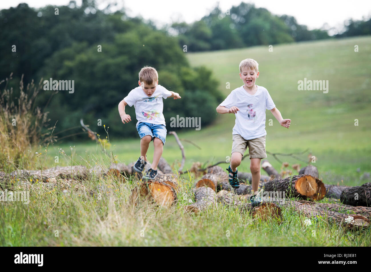 Due bambini piccoli in esecuzione in natura in un giorno di estate. Foto Stock
