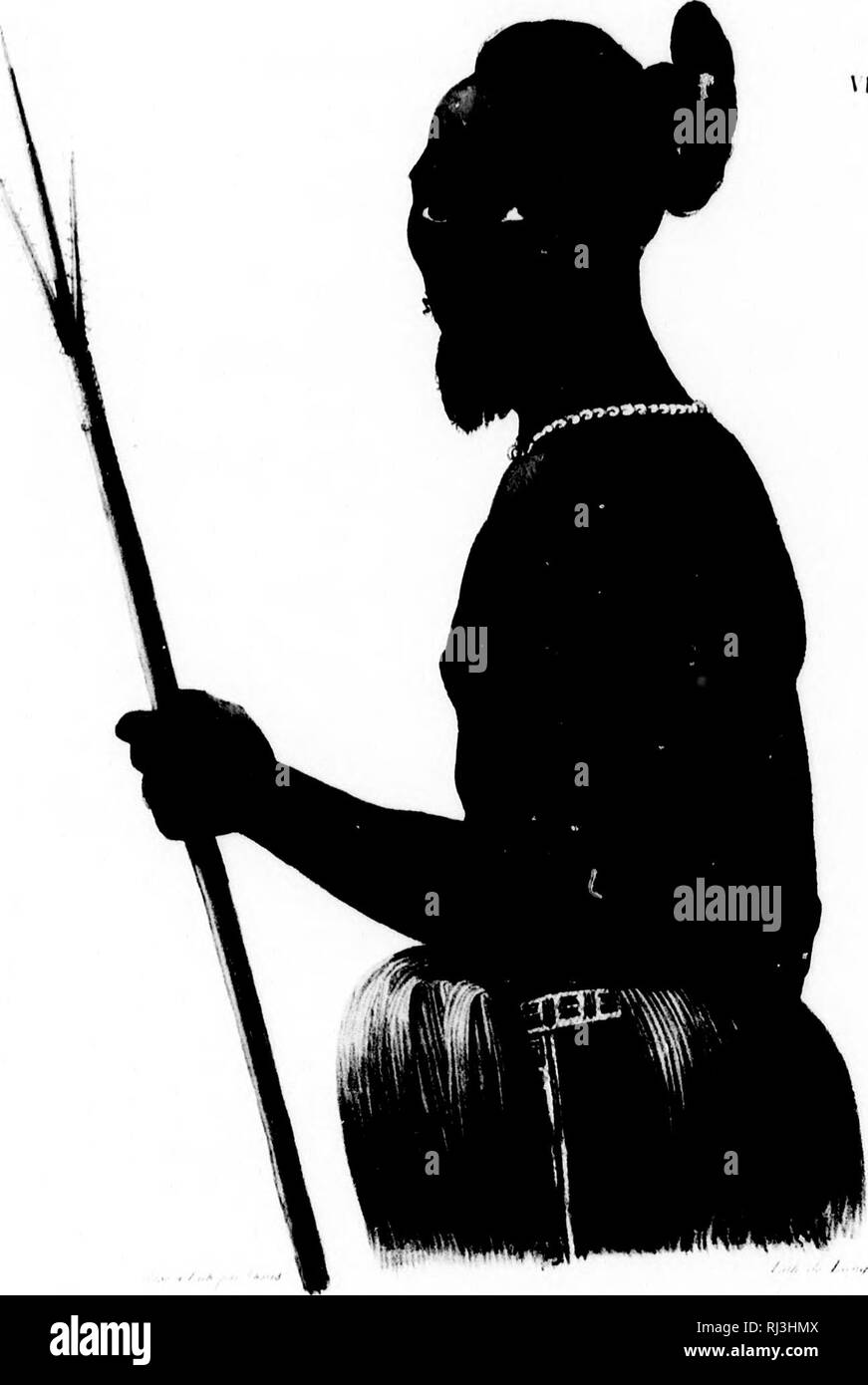 . Viaggio pittoresco Autour du monde [microforme] : avec des ritratti de sauvages d'Amérique, d'Asie, d'Afrique et des îles du Grand océan : des paysages, des vues maritimes et plusieurs objets d'histoire Naturelle. Rurick (Navire); Rurick (nave); Vues; Voyages Autour du monde; Sciences Naturelles; Craniologie; viste; viaggi in tutto il mondo; Storia Naturale; Craniology. 1 v. Si prega di notare che queste immagini vengono estratte dalla pagina sottoposta a scansione di immagini che possono essere state migliorate digitalmente per la leggibilità - Colorazione e aspetto di queste illustrazioni possono non assomigliare perfettamente l'originale wo Foto Stock