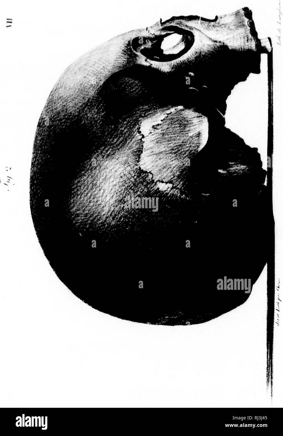 . Viaggio pittoresco Autour du monde [microforme] : avec des ritratti de sauvages d'Amérique, d'Asie, d'Afrique et des îles du Grand océan : des paysages, des vues maritimes et plusieurs objets d'histoire Naturelle. Rurick (Navire); Rurick (nave); Vues; Voyages Autour du monde; Sciences Naturelles; Craniologie; viste; viaggi in tutto il mondo; Storia Naturale; Craniology. X .^^' V - UNA X N : V S; V V 'I1. Si prega di notare che queste immagini vengono estratte dalla pagina sottoposta a scansione di immagini che possono essere state migliorate digitalmente per la leggibilità - Colorazione e aspetto di queste illustrazioni potrebbero non pe Foto Stock