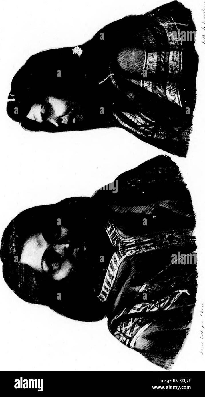 . Viaggio pittoresco Autour du monde [microforme] : avec des ritratti de sauvages d'Amérique, d'Asie, d'Afrique et des îles du Grand océan : des paysages, des vues maritimes et plusieurs objets d'histoire Naturelle. Rurick (Navire); Rurick (nave); Vues; Voyages Autour du monde; Sciences Naturelles; Craniologie; viste; viaggi in tutto il mondo; Storia Naturale; Craniology. 1'^' s. X N: V. Si prega di notare che queste immagini vengono estratte dalla pagina sottoposta a scansione di immagini che possono essere state migliorate digitalmente per la leggibilità - Colorazione e aspetto di queste illustrazioni potrebbero non perfettamente assomigliano al Foto Stock