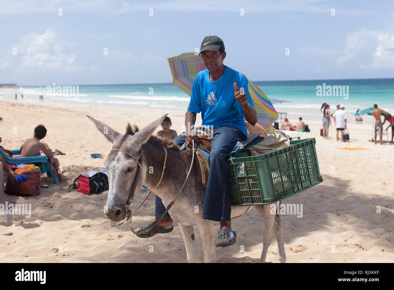L'uomo sul mulo vendono roba sulla spiaggia di Macao a Punta Cana. Foto Stock