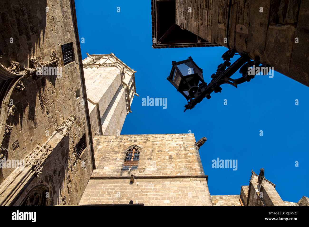 Cattedrale di Barcellona e il quartiere Gotico di Barcellona, in Catalogna, Spagna Foto Stock