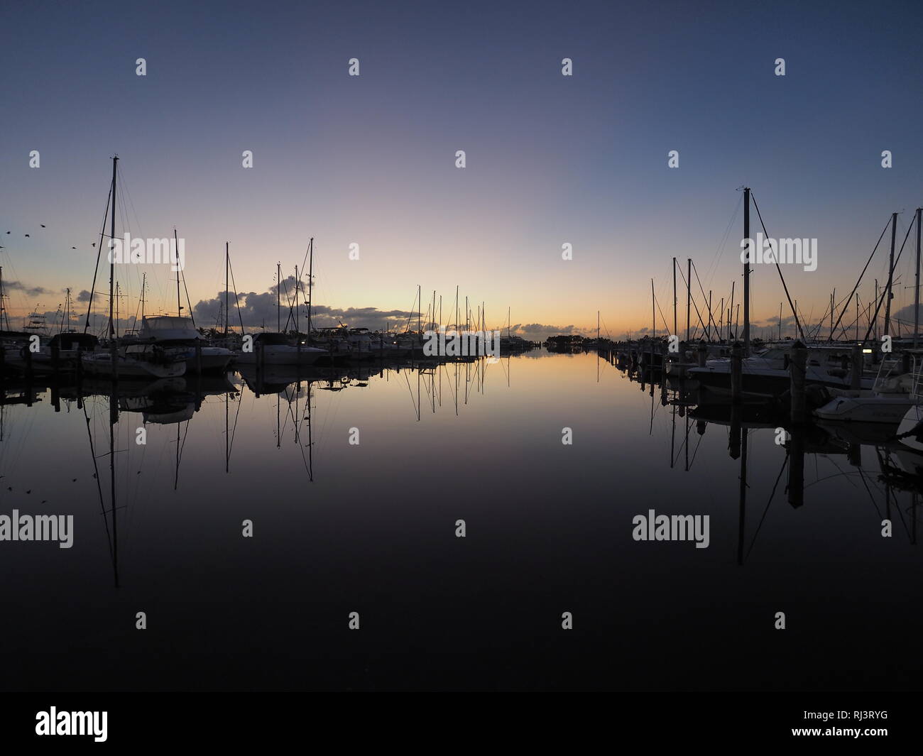 Alba sul tasto Cena Marina in Coconut Grove, Miami, Florida. Foto Stock