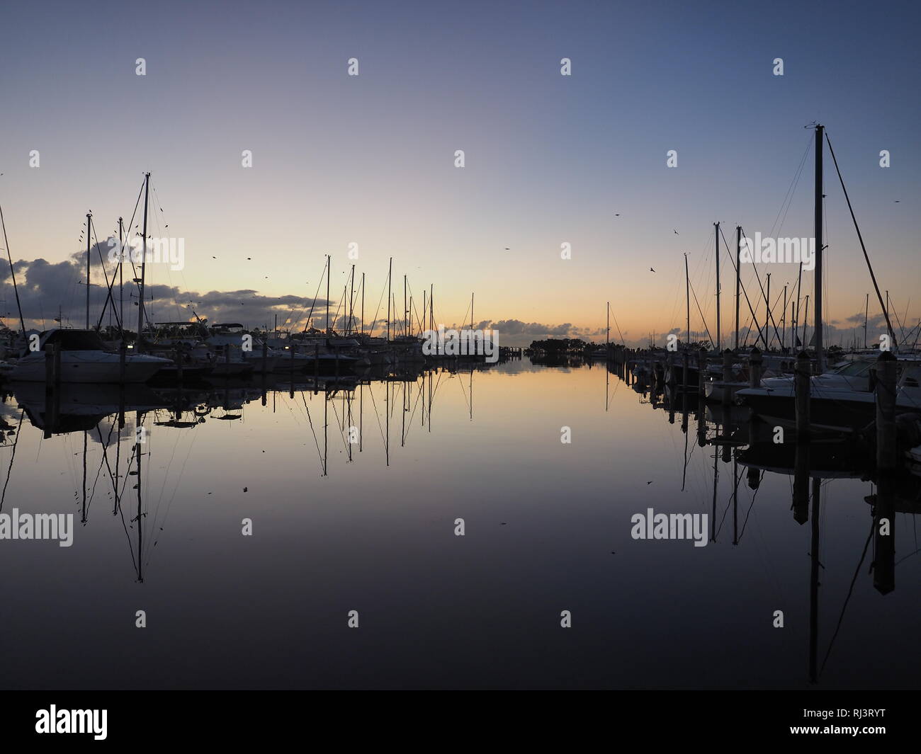 Alba sul tasto Cena Marina in Coconut Grove, Miami, Florida. Foto Stock