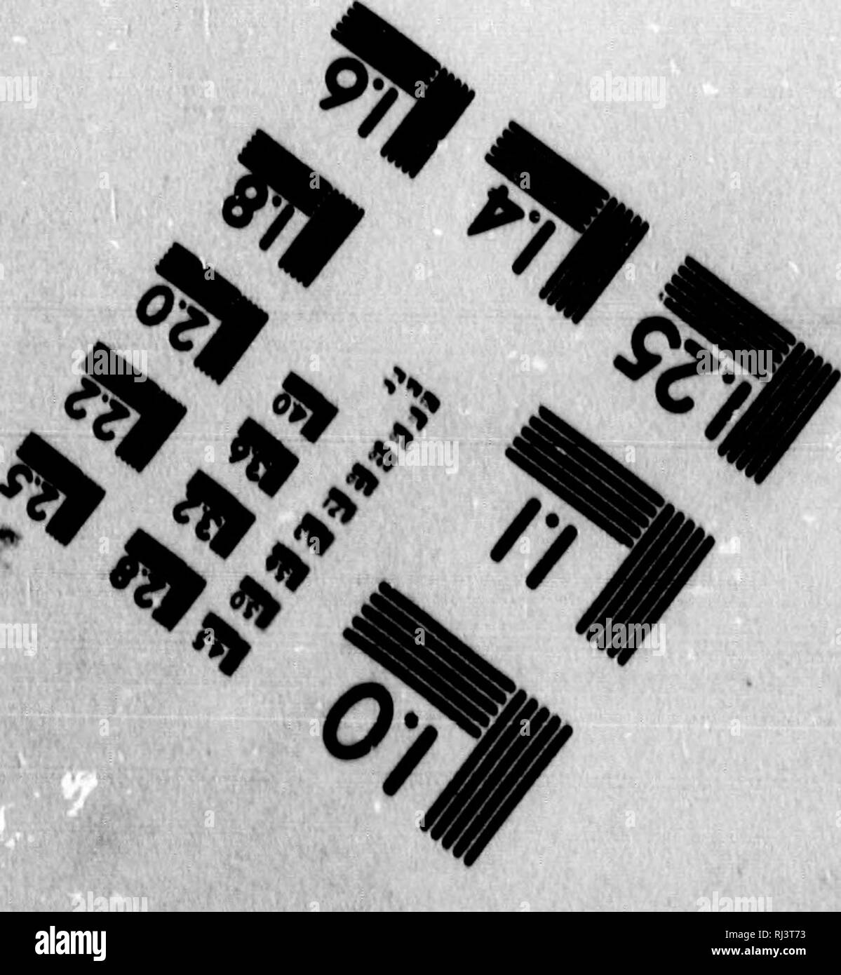 . Evoluzione Mentale in animali / da George John romanes. Con un saggio postumo su istinto / da Charles Darwin [microformati]. La psicologia, confronto; istinto animale; intelligenza; evoluzione; Psic comparÃ©e; l'Istinto; Animaux; evoluzione. 1.0 1.1 11.25 bi|2i 121 2f ii4 â â â UUi.. Fotografica CorpcBBtion ScMices 23 mut striit principale WIMTm,N.Y. I4SM (7U)t7S-4S0a 4^ mim â '^â ""..."ggi'i. Si prega di notare che queste immagini vengono estratte dalla pagina sottoposta a scansione di immagini che possono essere state migliorate digitalmente per la leggibilità - Colorazione e aspetto di queste illustrazioni possono non assomigliare perfettamente Foto Stock