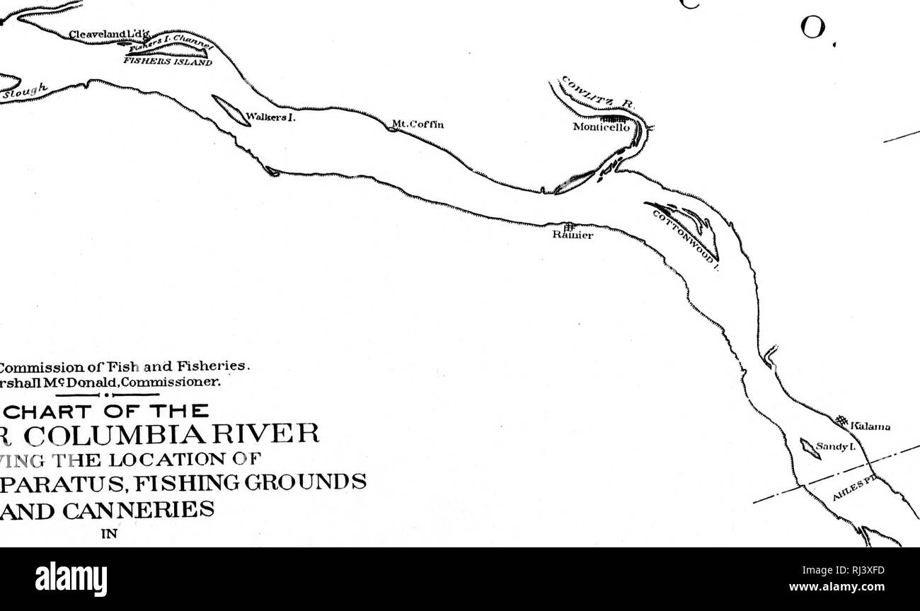 . Relazione del commissario di pesci e pesca sulle indagini in Columbia River basin in merito alla pesca del salmone [microformati]. La pesca del salmone; legge sulla pesca e legislazione; la pesca del salmone; Saumon; Pêche commerciale; Saumon. Plate II mSoo o5- w s.^^ si-^ L :ominissionof Pish e pesca rshall M&LT;? Donald ,CoinTms si oner. Grafico del mio COLUMBIA RIVER ^NG LA POSIZIONE DI PARATUS. FT SHING MOTIVI E CONSERVIFICI IN 1892 S cala di statuto di miglia. Scala di Naxit-ical Miglia , T ' W c. M B I A C O. ;.-lr *5" io IZS^OO. Si prega di notare che queste immagini vengono estratte dalla scansione Foto Stock