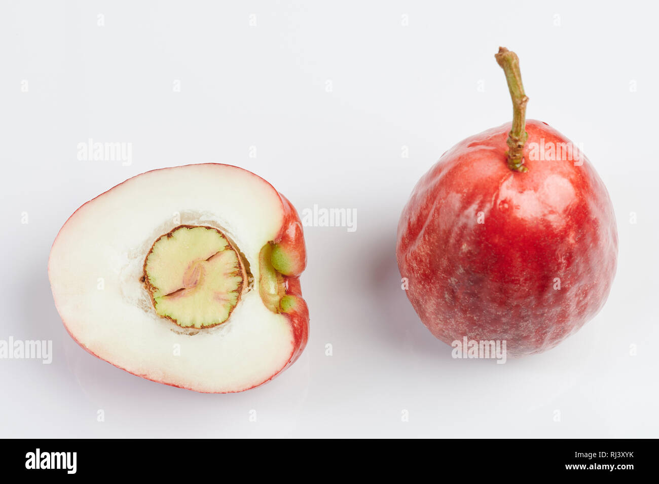 Materie tropical rosa mela su bianco di sfondo per studio Foto Stock