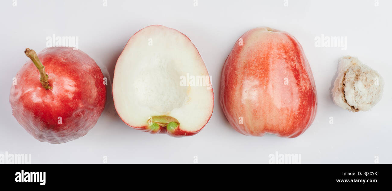 Rosa mela frutta diverse viste su sfondo bianco Foto Stock