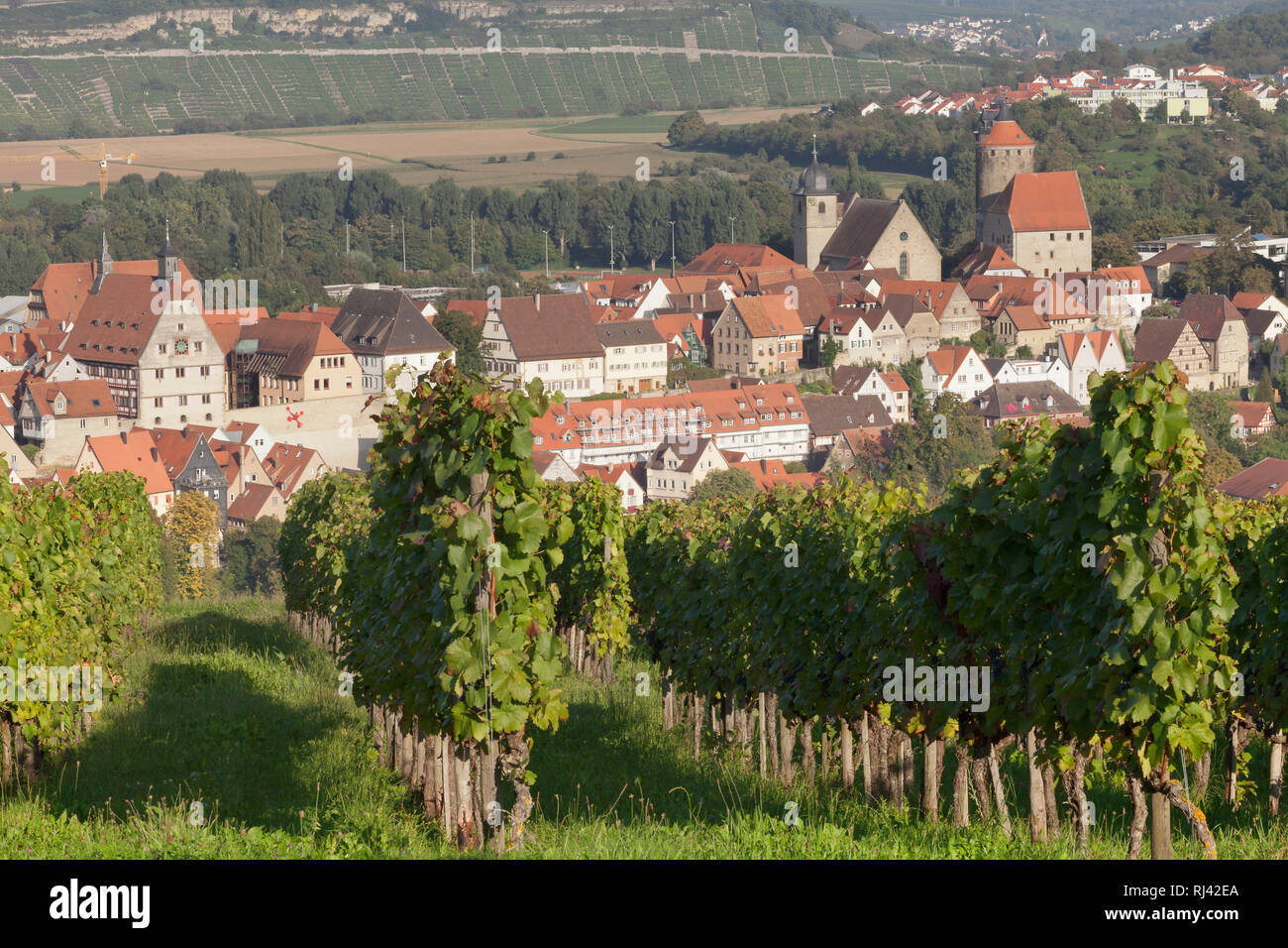 Altstadt von Besigheim mit Schochemturm, Rathaus, Waldhornturm und Stadtkirche, Baden-Württemberg, Deutschland Foto Stock