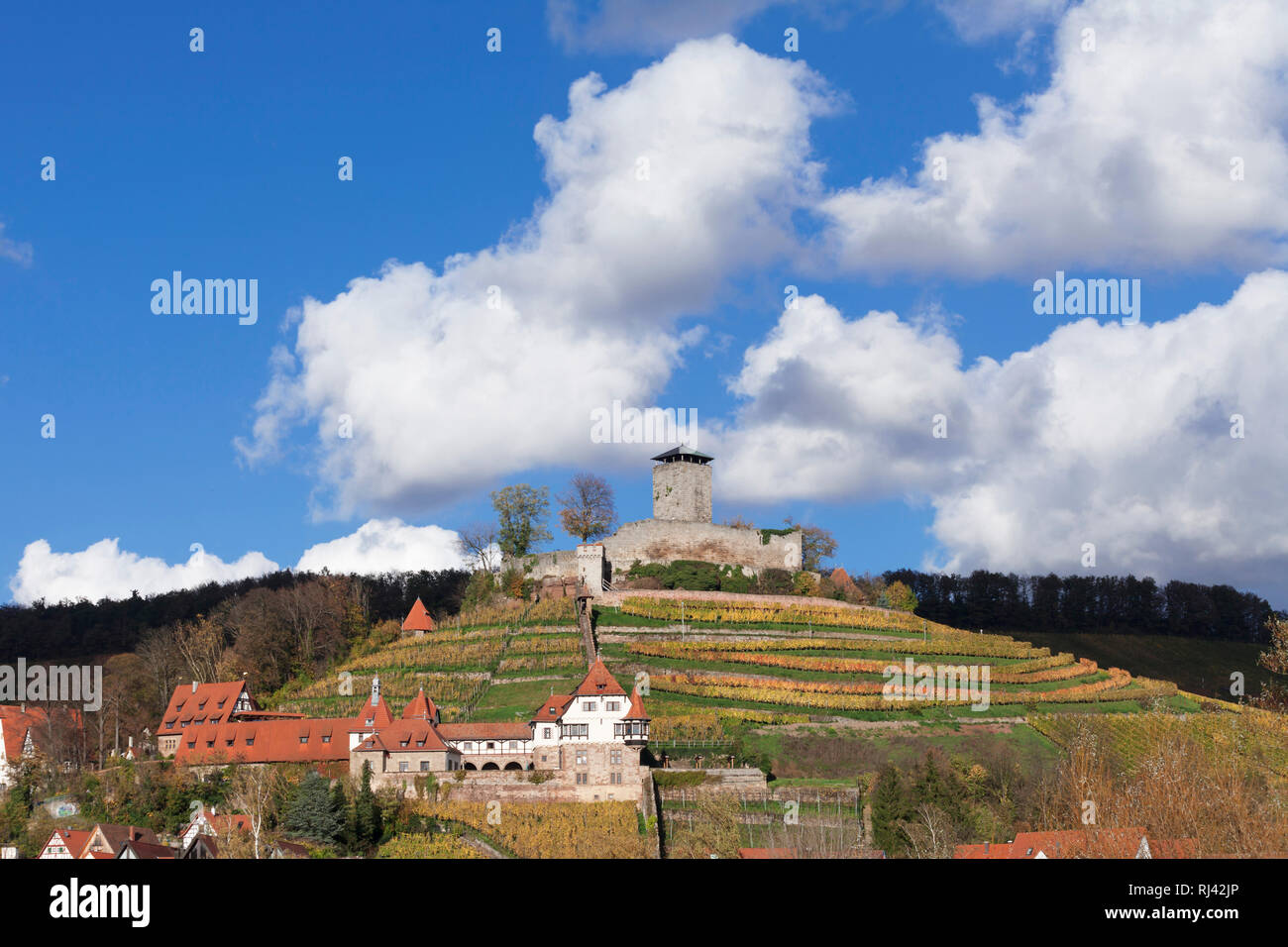 Hohenbeilstein Burg im Herbst, Beilstein, Baden-Württemberg, Deutschland Foto Stock