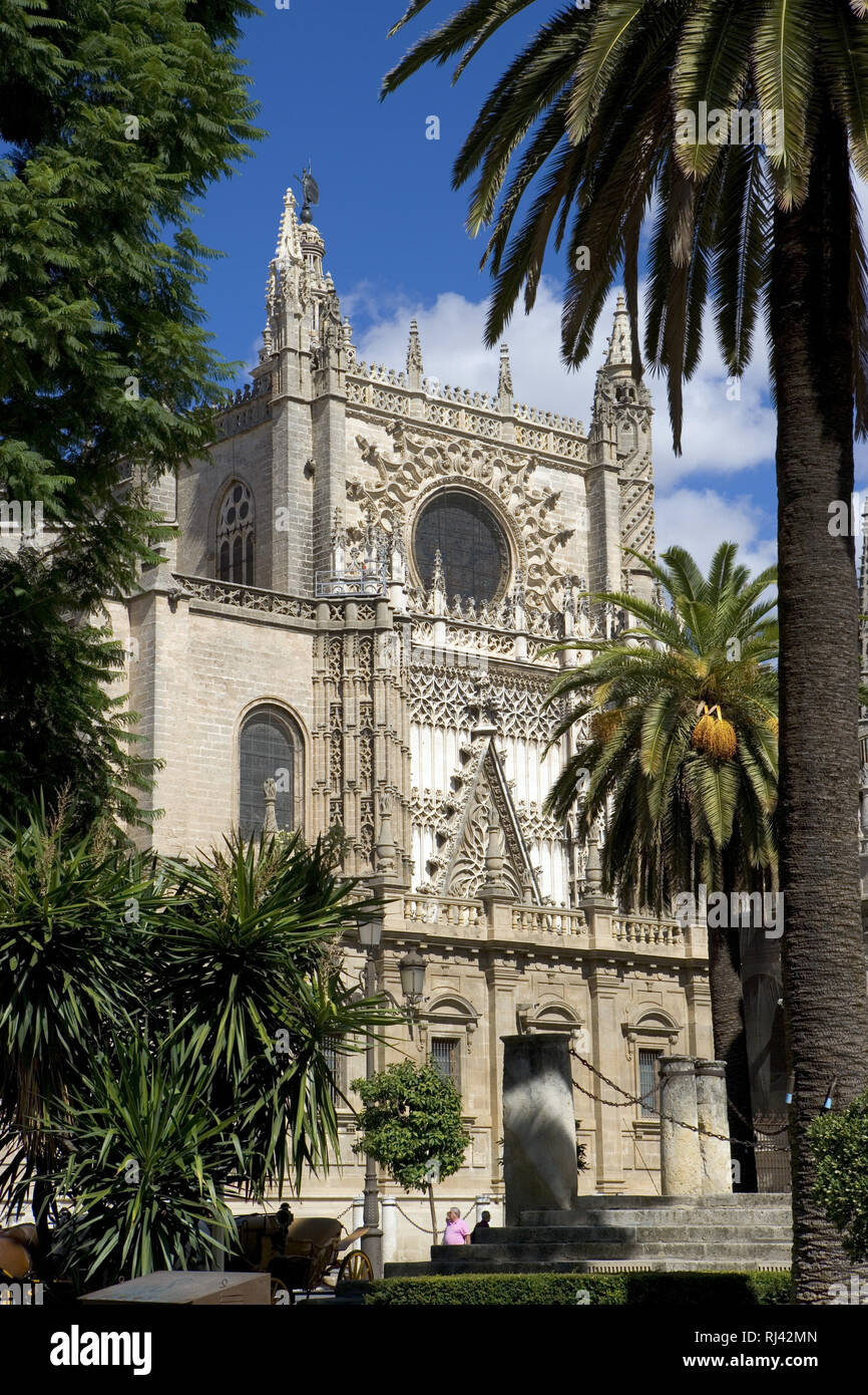 Spanien, Sevilla, Kathedrale, grˆflte gotische Kirche der Welt, auf den 'berresten der im 12. Jh. errichteten arabischen gebaut Moschee, Foto Stock