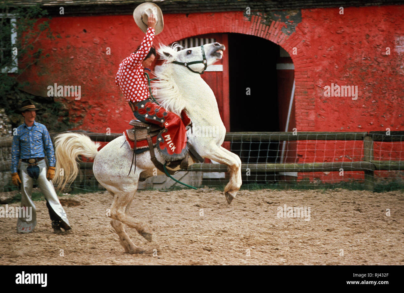 Rodeo, cowboy, Reiter, Foto Stock