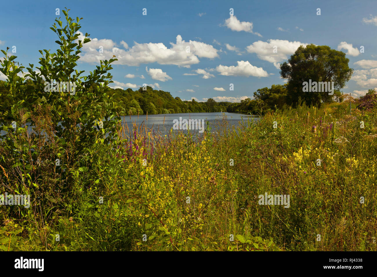 Deutschland, Baden W?rttemberg, Neckar, bei Gundelsheim, Foto Stock