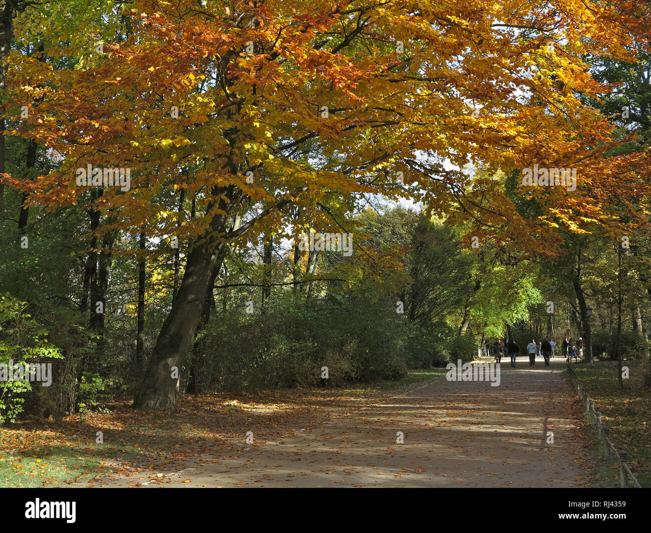 Deutschland, Oberbayern, M?nchen, Englischer Garten im Herbst, Foto Stock