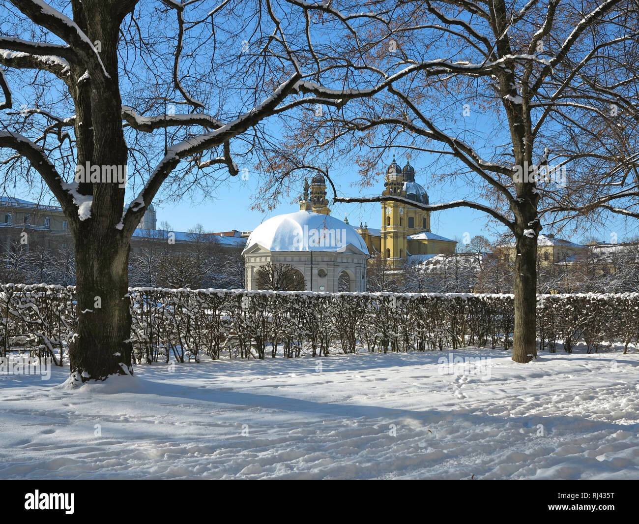 Deutschland, Oberbayern, M?nchen, Hofgarten, inverno, Foto Stock