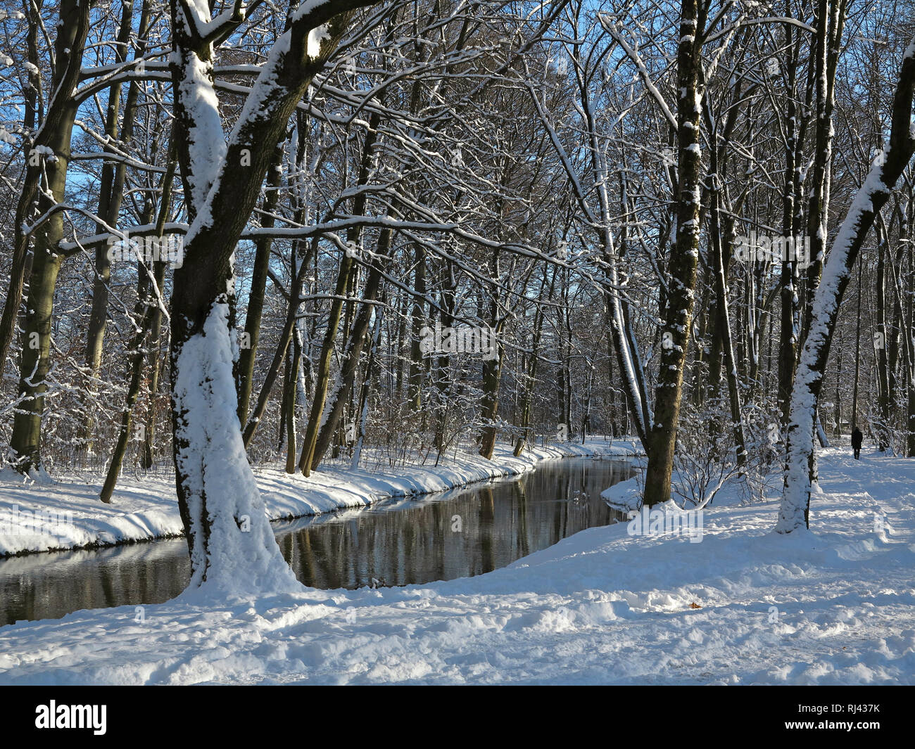 Deutschland, Oberbayern, M?nchen, Englischer Garten, inverno, Foto Stock