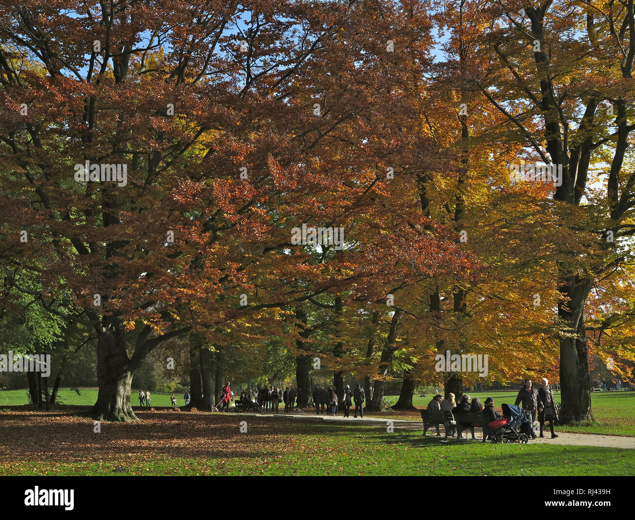 Deutschland, Oberbayern, M?nchen, Englischer Garten im Herbst, Foto Stock