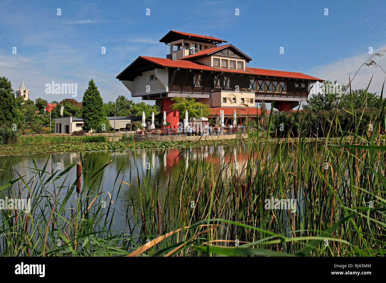 Deutschland, Renania-Palatinato, Bockenheim, Haus der Deutschen Weinstra?e, Foto Stock
