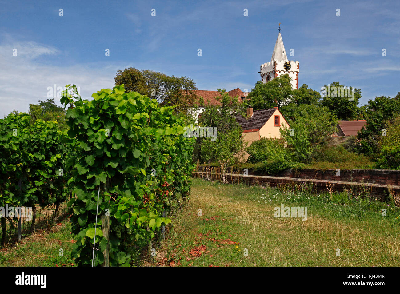 Deutschland, Renania-Palatinato, Bockenheim, Der Turm der romanischen chiesa Martinskirche, Foto Stock