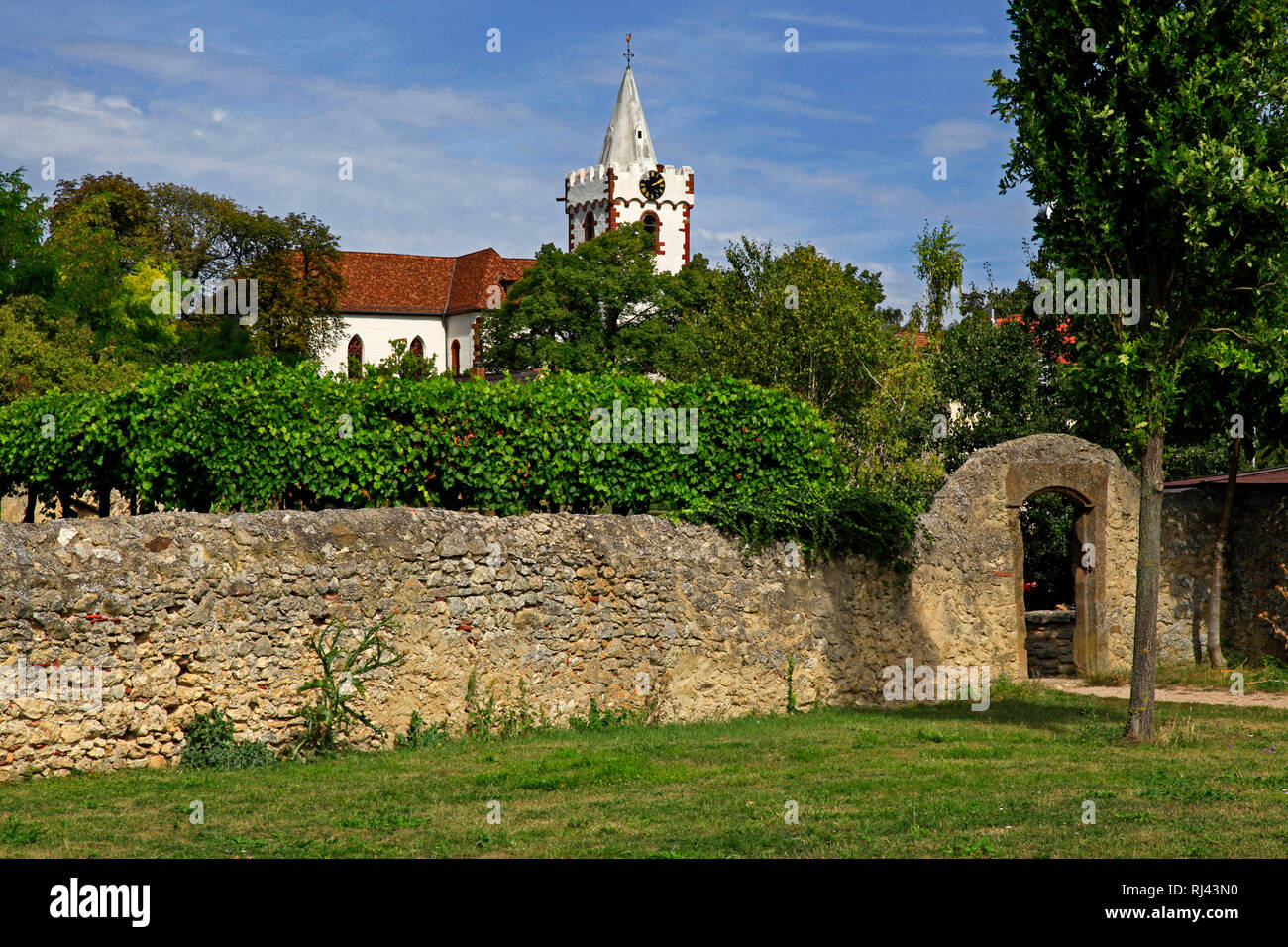 Deutschland, Renania-Palatinato, Bockenheim, Der Turm der romanischen chiesa Martinskirche, Foto Stock