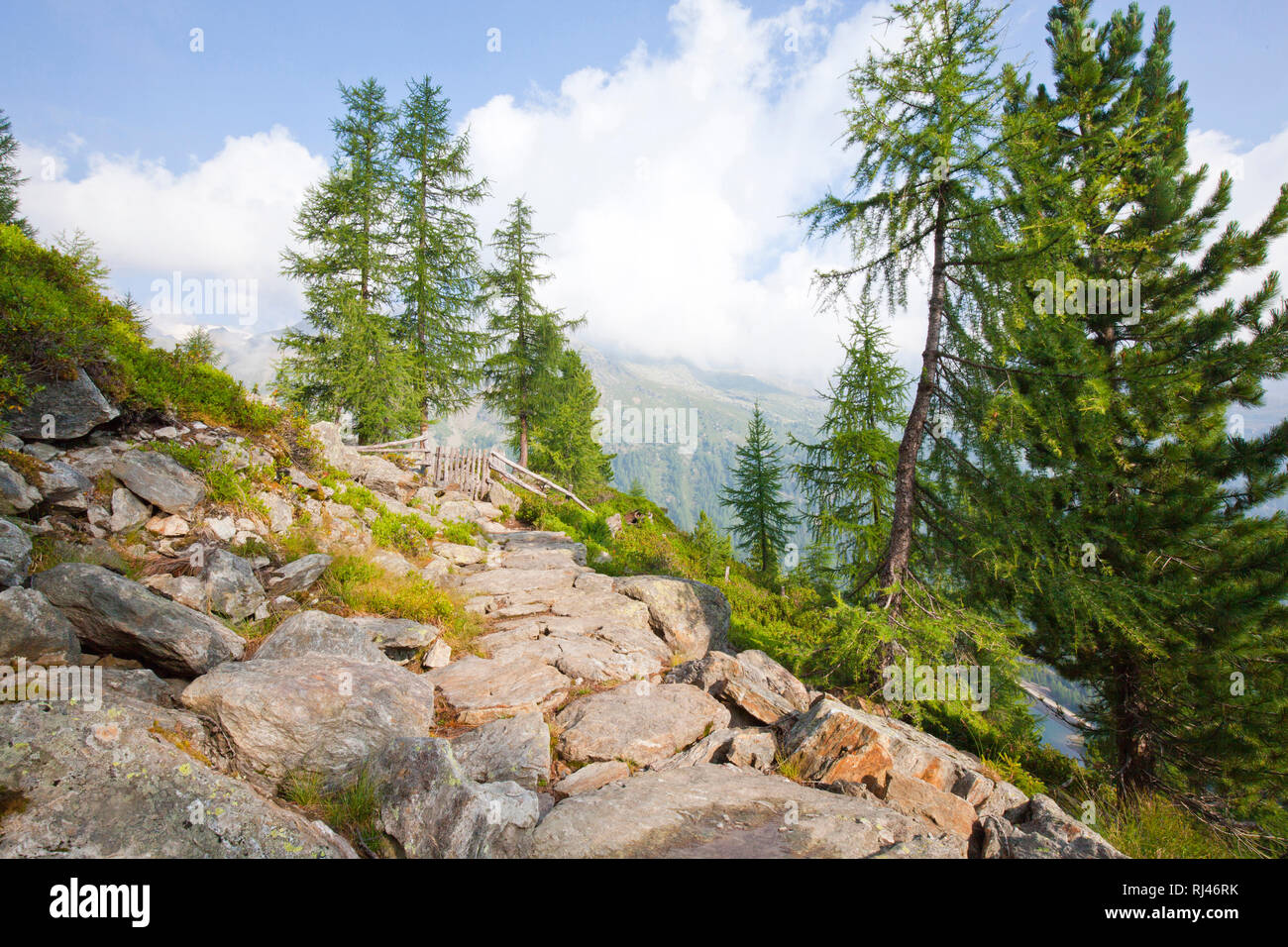 Bergwald im Val d Ultimo Foto Stock