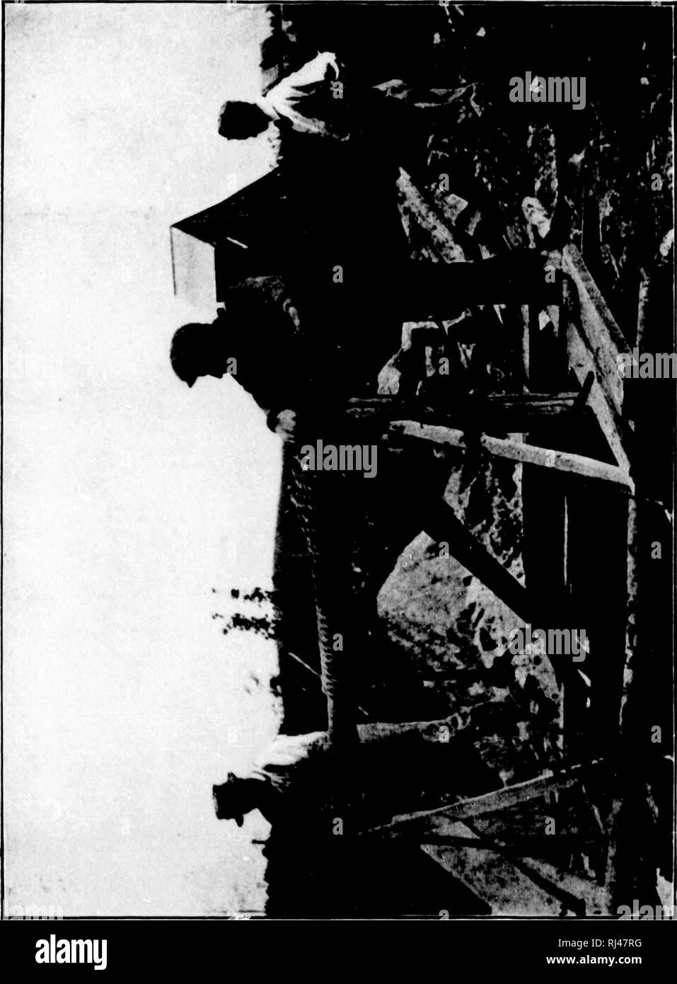 . Nell'Acadian land [microformati] : studi della natura. Lo studio della natura; sentieri natura; natura; Sentiers de la natura. I. h.]. Si prega di notare che queste immagini vengono estratte dalla pagina sottoposta a scansione di immagini che possono essere state migliorate digitalmente per la leggibilità - Colorazione e aspetto di queste illustrazioni potrebbero non perfettamente assomigliano al lavoro originale. McLeod, Robert R. (Robert Randall), 1839-1909. Boston : B. Whidden Foto Stock