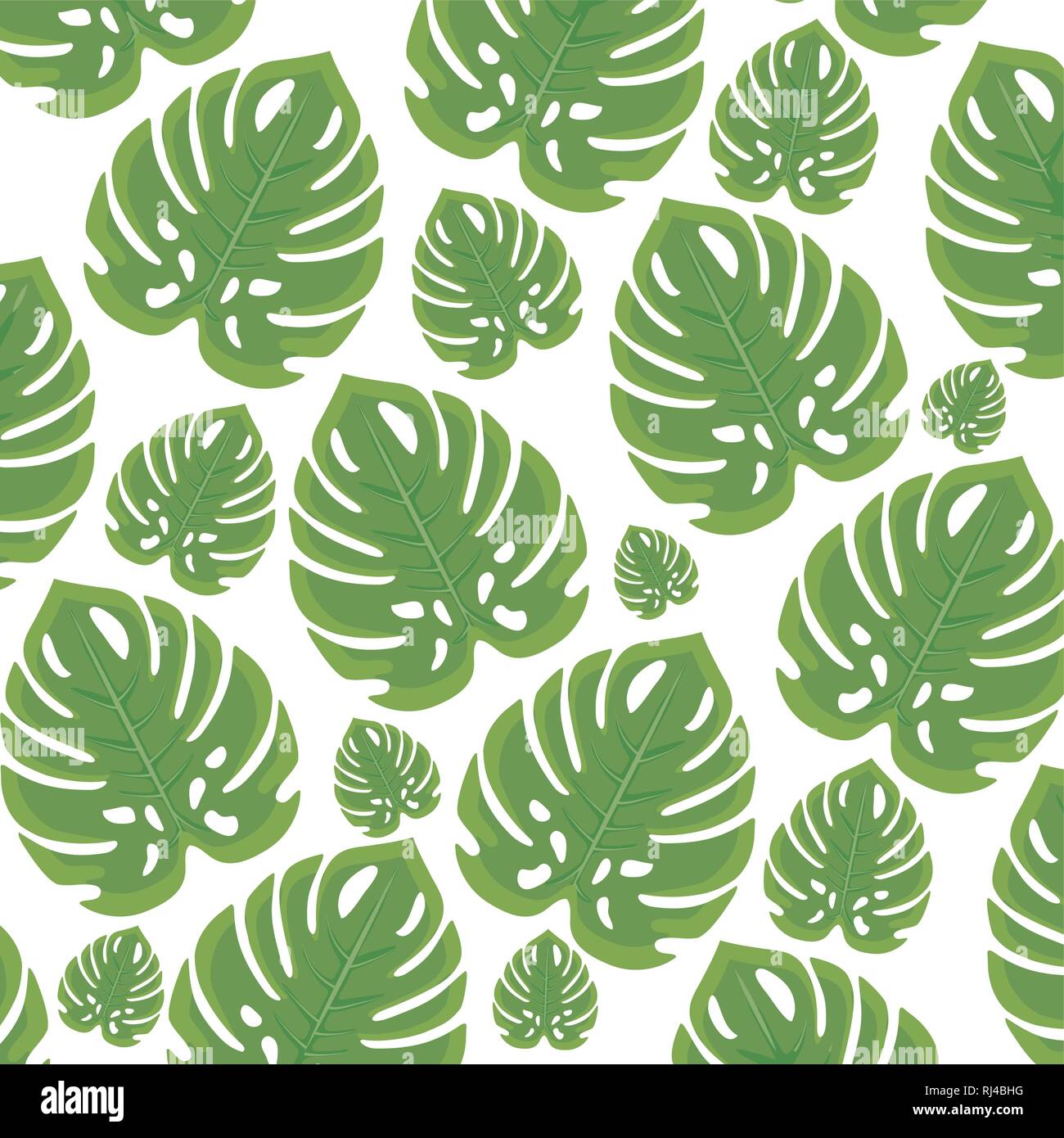 Ecologia le foglie delle piante pattern illustrazione vettoriale design  Immagine e Vettoriale - Alamy