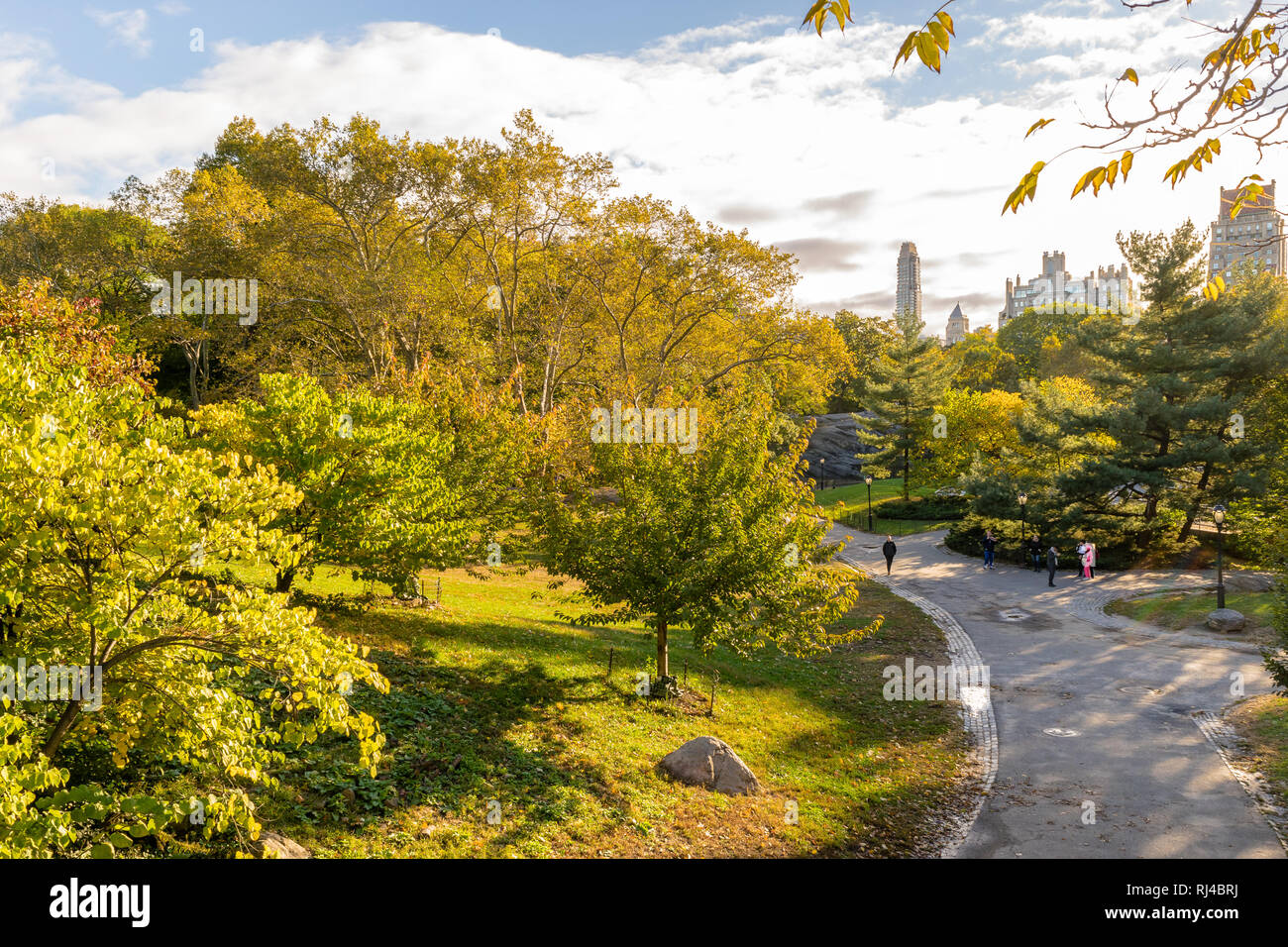 Antenna/Drone view all'interno del Central Park di New York durante il colorato Autunno/caduta stagione Foto Stock
