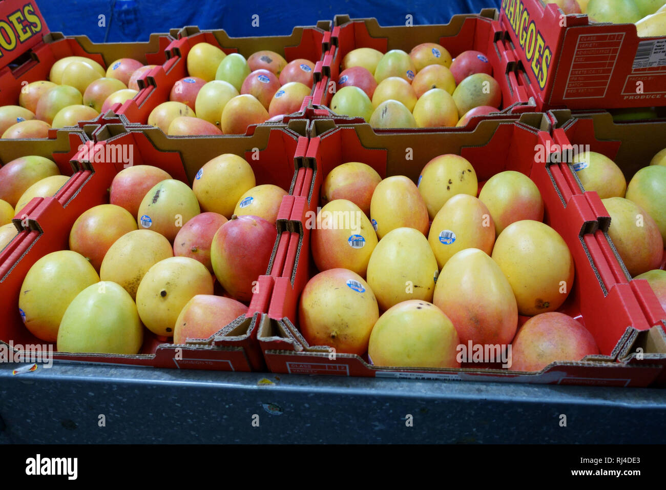 Mango fresco per la vendita al mercato locale in Melbourne, Victoria, Australia Foto Stock