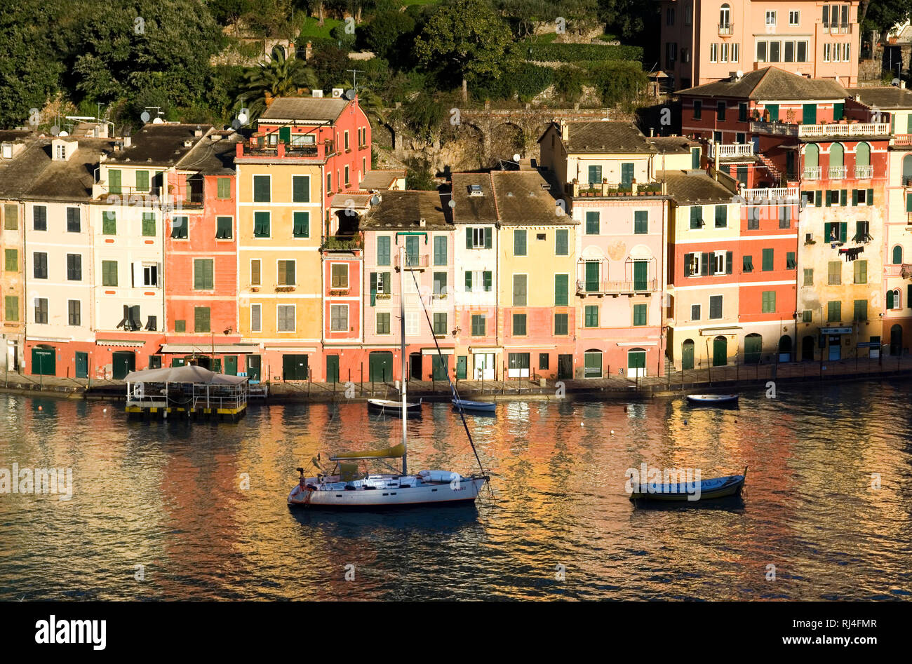 Portofino, Costa Ligure, Italia, Porto, Barche Foto Stock