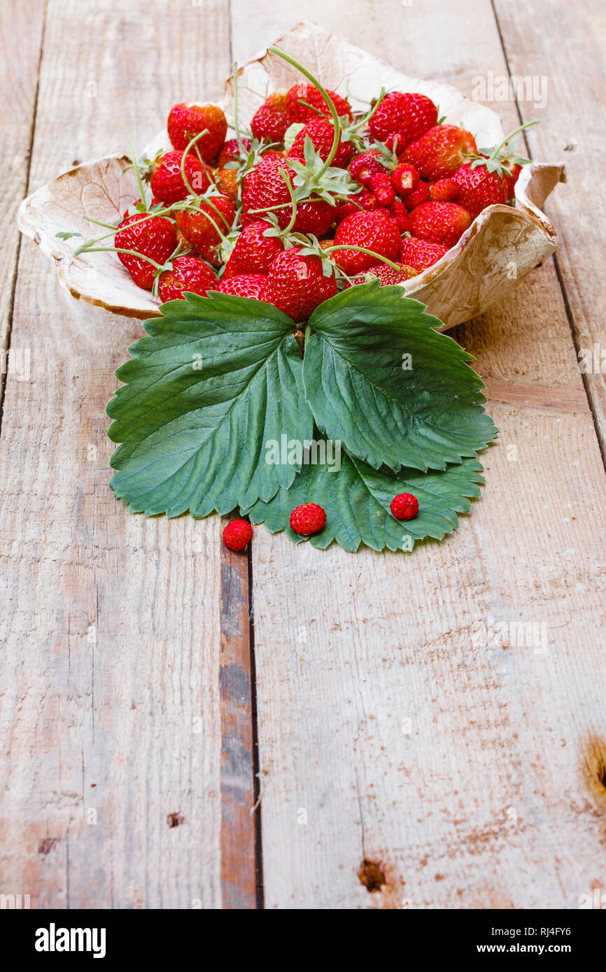 Erdbeeren in einer Schale Foto Stock