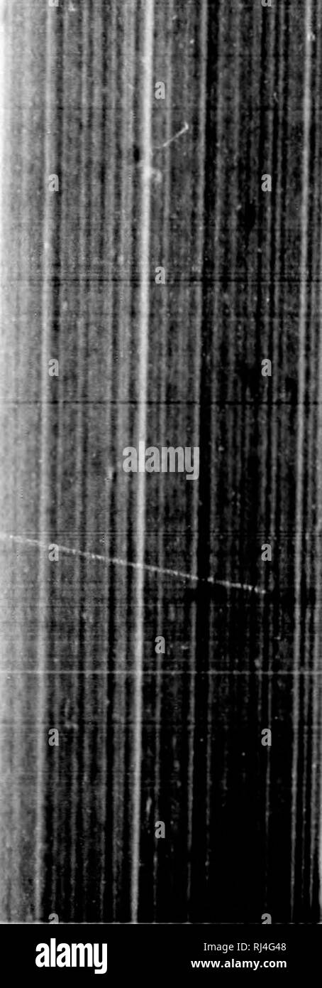 . Nazioni Unite Voyage à la mer polaire sur les navires de S.M.B. l'alerte et la DÃ©couverte, (1875 à 1876) [microforme]. Alerte (Navire); la scoperta (Navire); Avviso (nave); la scoperta (nave); Sciences Naturelles; storia naturale. VOYAGK ONU A LA MEH POLAIHE. 411 ."onctiiiibrf Ã®le plus en plus, Icllomenl (luo le 21 Ã (lualn* heures ,|ii miliii, par le Iravcrs fare la !&GT;aie fare Havlin{,'s, nous Ã©zioni en ^â Mel f,'se,'antes(torta. Kn allondant (]uele Ilot vint balayer la Â" blocailte Â" qui tlottail a la hurlace de la mer, j'aurais voulu, comme je l'avais fait sou- sfiato, amarrer les navires à la paroi Â"le Foto Stock