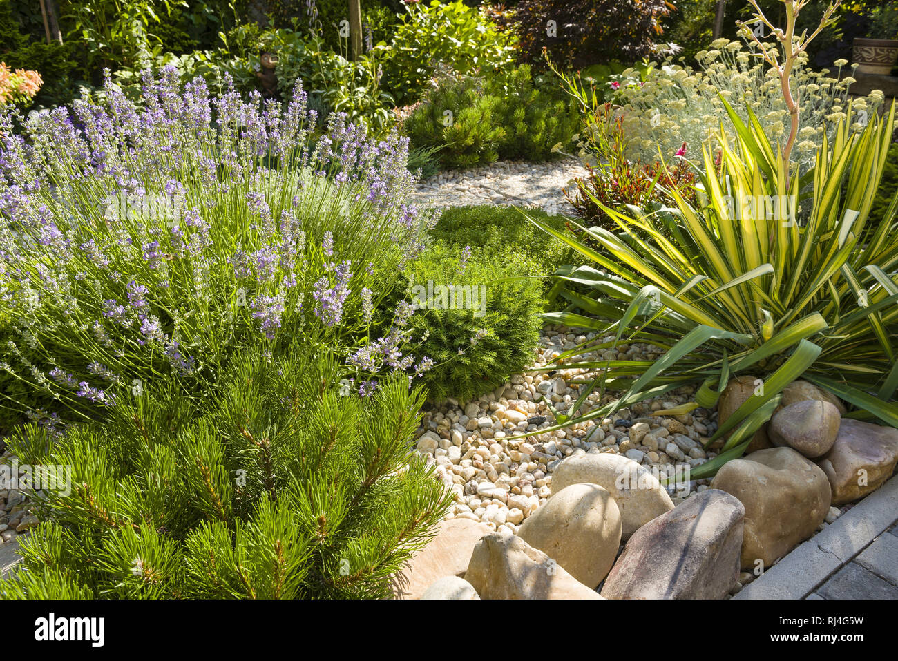 Un giardino in stile mediterraneo con impianto di siccità Foto Stock