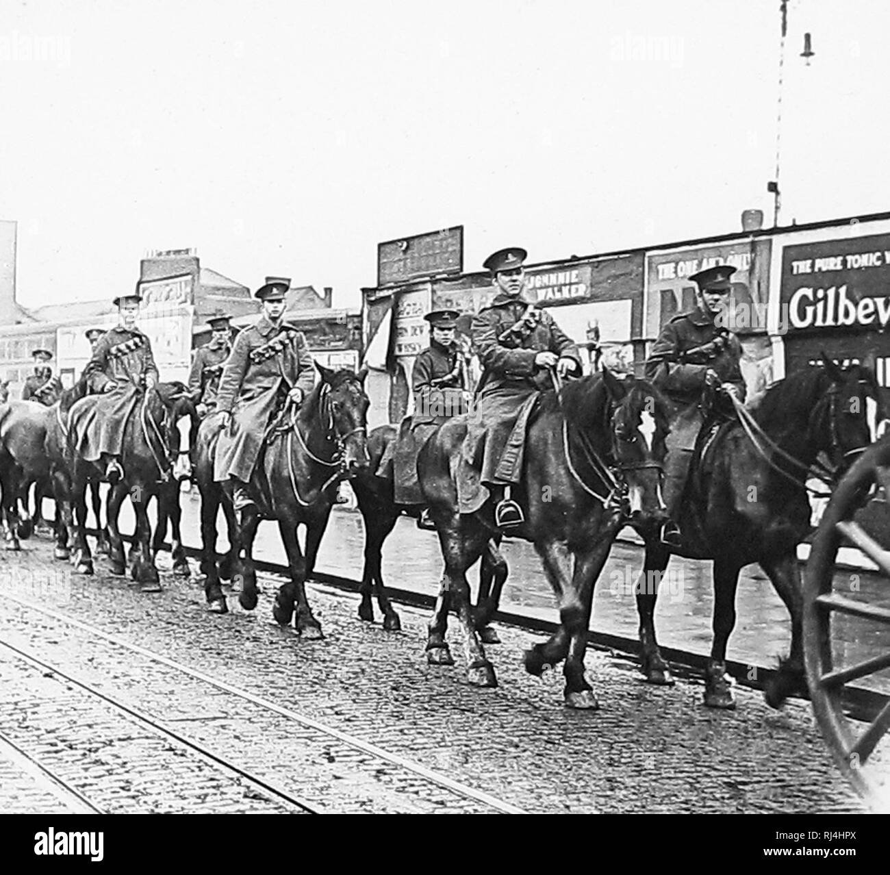 Campo Royal Artillery con sequestrato i cavalli durante il WW1 Foto Stock