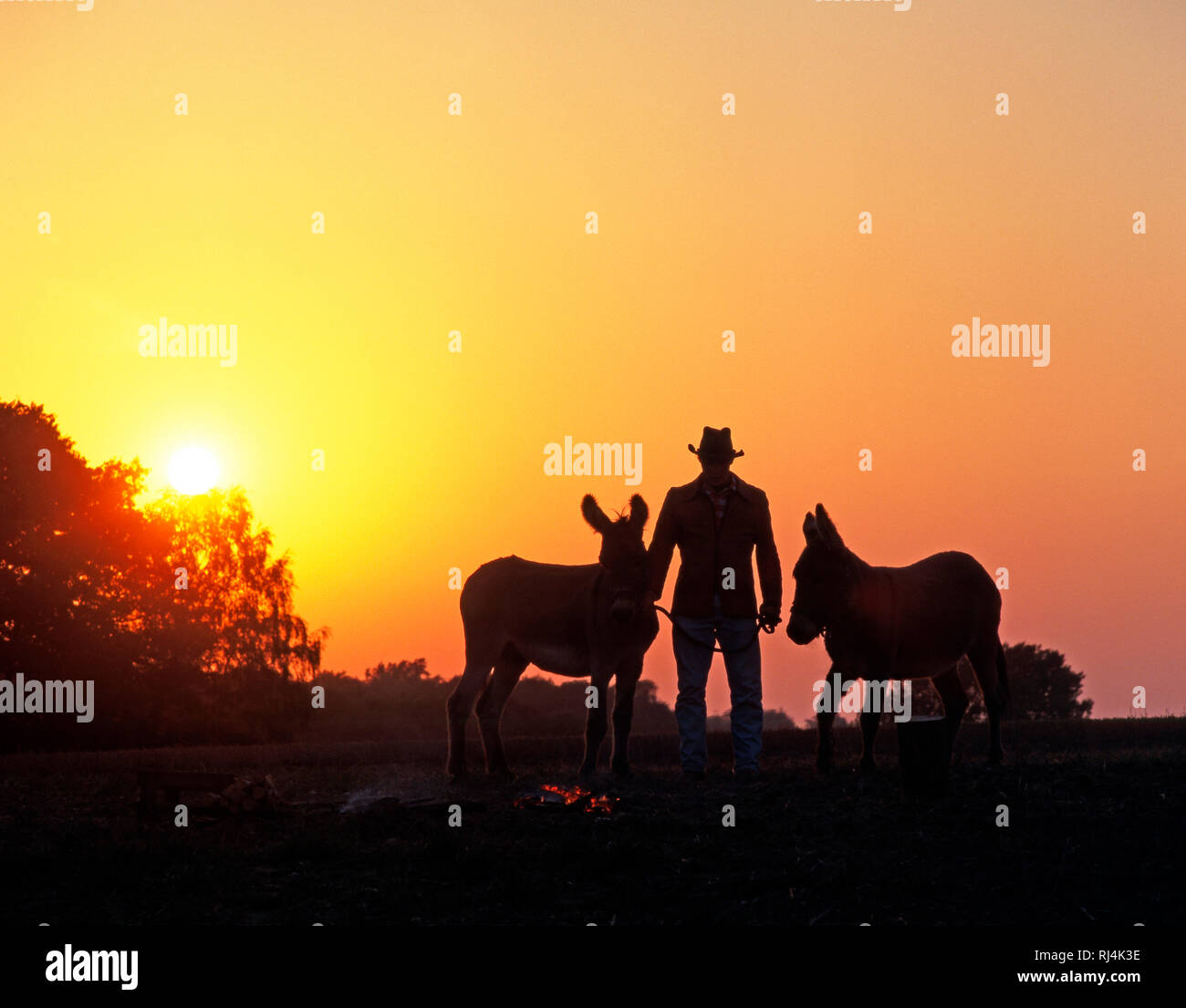 Mann mit Cowboyhut und zwei Eseln neben Feuerstelle, Gegenlicht, Silhouetten, untergehende Sonne, Abend, Foto Stock