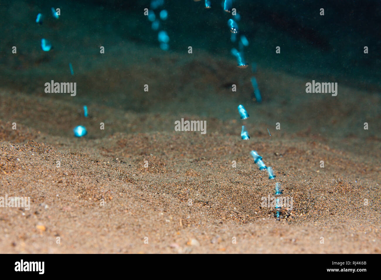 Vulkanische Gasblasen, Komodo Nationalpark, Indonesien Foto Stock