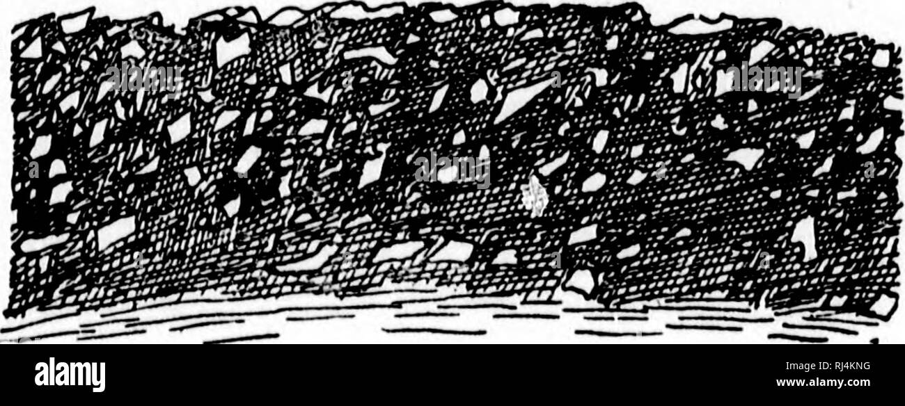 . Agricoltura [microformati]. Agricoltura; l'agricoltura. Vado AORICULTURE. itlil fuori della ghiaia; in breve, la ghiaia deve essere il più possibile puliti; esso dovrebbe essere vagliato, classificato e mettere in strati, e dovrebbe essere ben arrotolato. Strade di pietra. -Come una regola, ghiaia è più o meno arrotondato, e quindi non in un primo momento si legano bene. Voi sapete che una strada potrebbe non essere ben fatta di marmi. Per legare e non ci devono essere spigoli vivi e ruvidi i lati sui pezzi. Troviamo così che la pietra rotto farà una più forte e più durevole road rispetto a ghiaia. Ma non dobbiamo dimenticare i punti già menzionati Foto Stock