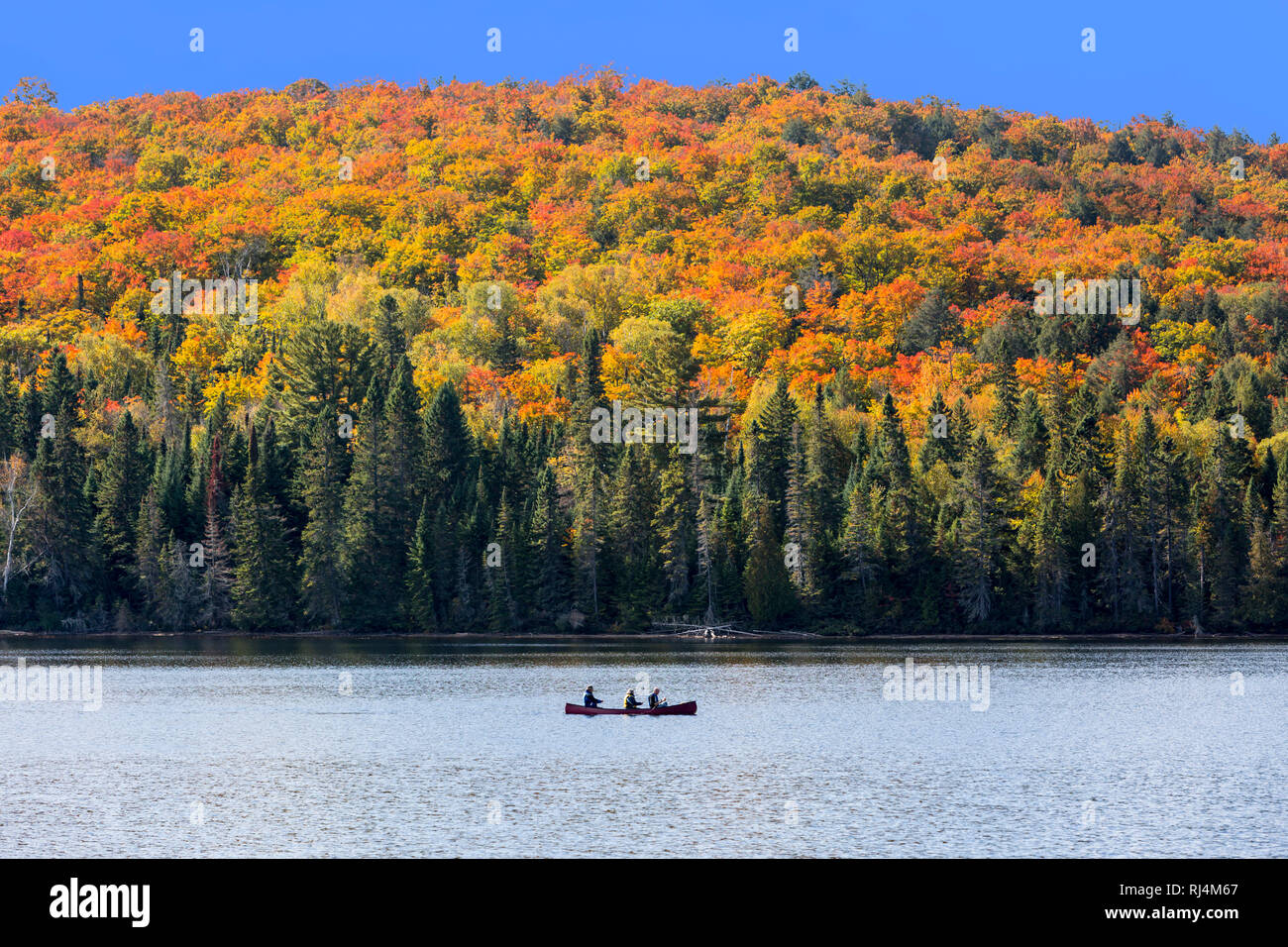 America del nord, Canada Ontario, Algonquin Provincial Park, 3 persone canoa in autunno Foto Stock