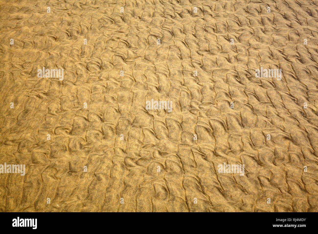 Spuren der in Wellen, Belgium.Wellen sabbia im Foto Stock