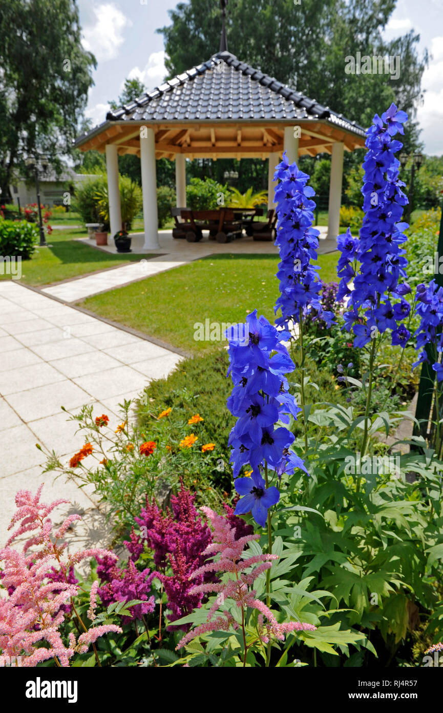 Rittersporn dominiert als Zierstaude vor einem Gartenpavillon, Foto Stock