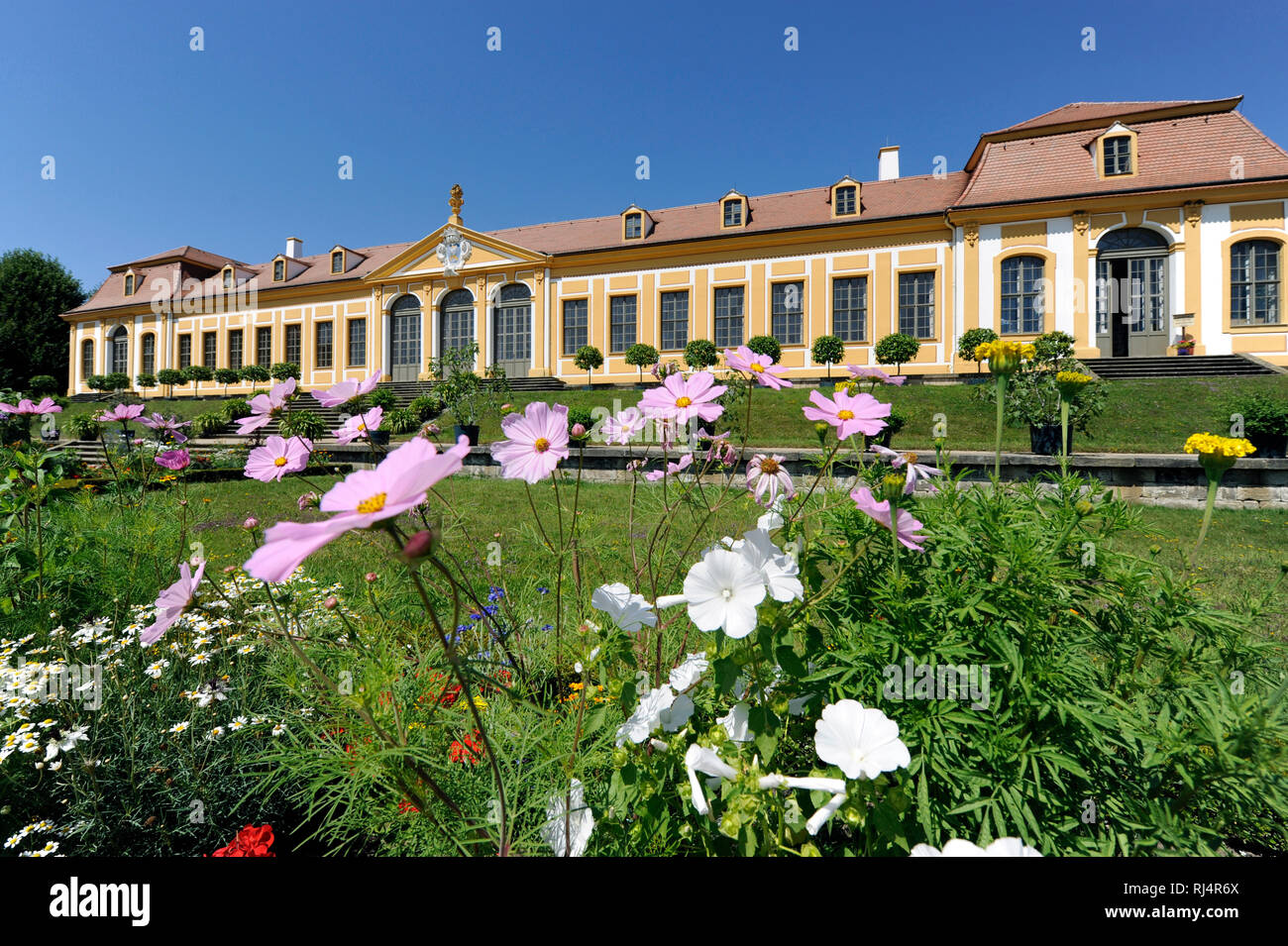 Obere Orangerie im Barockgarten Gro?sedlitz mit Orangenb?umchen als K?belpflanzen und bunter Rabattenbepflanzung, Foto Stock