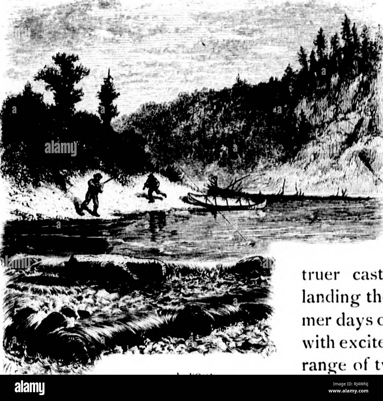 . Sport con la pistola e l'asta in legni americani e acque [microformati]. Caccia; Caccia; Pesca; Pesca; Chasse;; Chasse Pêche sportive; Pêche sportive. Mare - La pesca alla trota. 533. i'OOI.. boscosi di larice, abete rosso, Sycamore, e piccoli arbusti, mostra meno di argilla da quelli lowitr giù e più ol led ciottoli^e e breve spiaggia sabbiosa- es, così che tishiiiL; a galla isc.chanj,alimentato per wailin!^", che assicura un lon^i'r, cast più vera e più facilità nel landin}^^ il pesce. La lunga somma- mer giorni di una settimana può essere fill(&GT;d con entusiasmo la montatura in questa gamma di venti o thirt piscine. In modo soddisfacente è Foto Stock