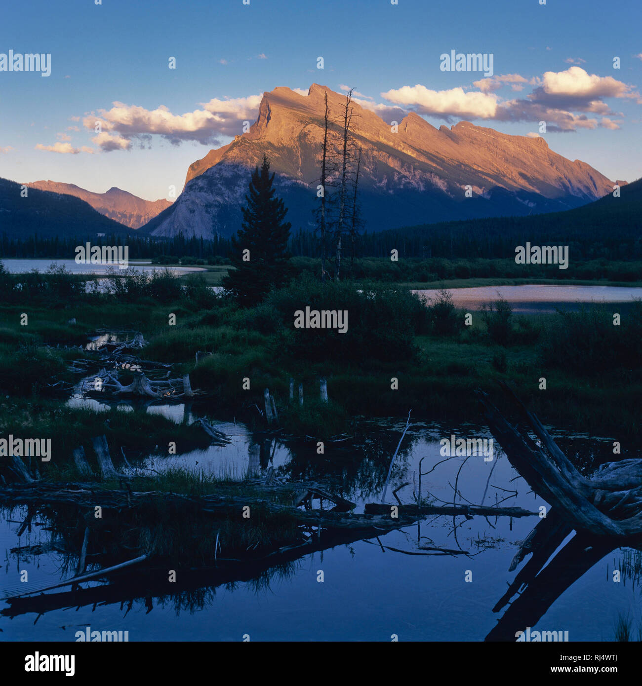Laghi di Vermiglio, Mount Rundle, Banff Nationalpark Foto Stock