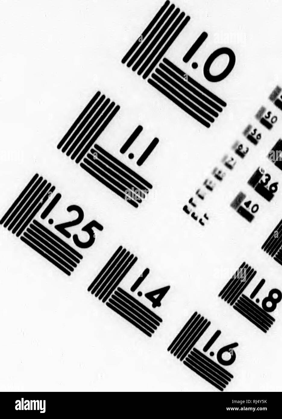 . Sport royal, ho mandato voi! -Twelfth Night [microformati]. Caccia; Chasse. Valutazione di immagine il bersaglio di test (MT-3). &Lt;* una 4l 1.0 I.I 1.8 1.25 III 1.4 1.6 ^ 6"?. Si prega di notare che queste immagini vengono estratte dalla pagina sottoposta a scansione di immagini che possono essere state migliorate digitalmente per la leggibilità - Colorazione e aspetto di queste illustrazioni potrebbero non perfettamente assomigliano al lavoro originale. Martindale, Thomas, 1845-1916. Philadelphia : H. W. Shaw Foto Stock