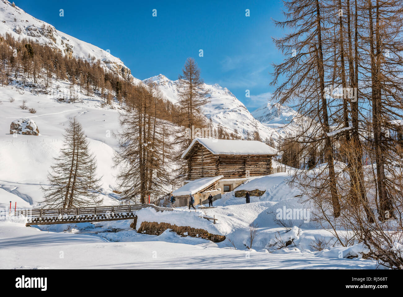 Paesaggio invernale nella Valle Fex, Engadina, Grigioni, Svizzera Foto Stock
