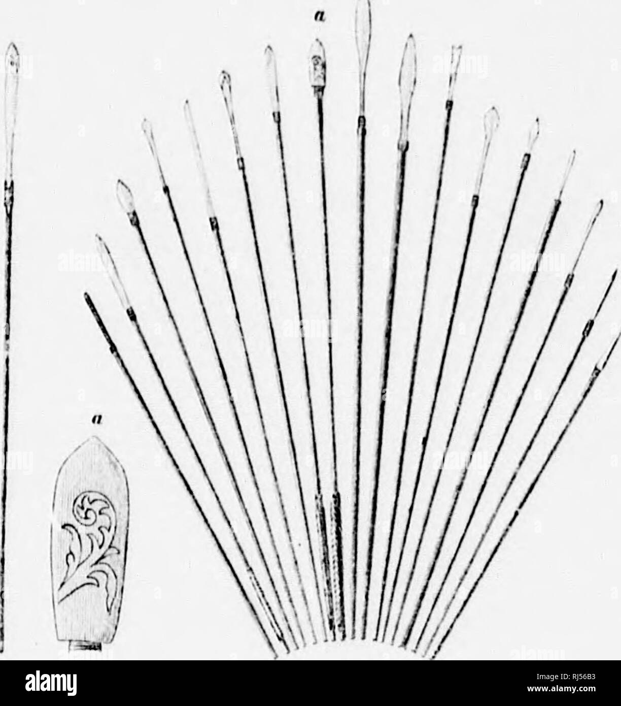 . CircunnavegaciÃ³N del Asia y Europa viaje del Vega [microformati] : acompaÃ±ado de n.a. reseÃ±un historica de expediciones anteriores a lo largo de la costa norte del Antiguo mundo. Vega (nave); Vega (Navire); Storia Naturale; Sciences Naturelles. )Â ¢! CazadoroÂ"; i controller di dominio di sola lettura l'iiln'i- oldol misiiid io (MI VPIMIKi iiyii; el iiiii- io del ii^nia oca in modo ca/ii. iidas 011 1,1 &gt; fare sus a;;",!- lÃ¡.s così la cojÃ-' come fare cuorn os a^niJoi'iK lalos. Ho';ir;| lo loca. o- los Iscliuls- pro quo scM la caliozÃ-i v a^-udas. nido ala- Ã-lolaiito-; adas. Ho';i- loiia. fieno estos ar- los mata al ofoclo. È (liÂ¿,r. Foto Stock