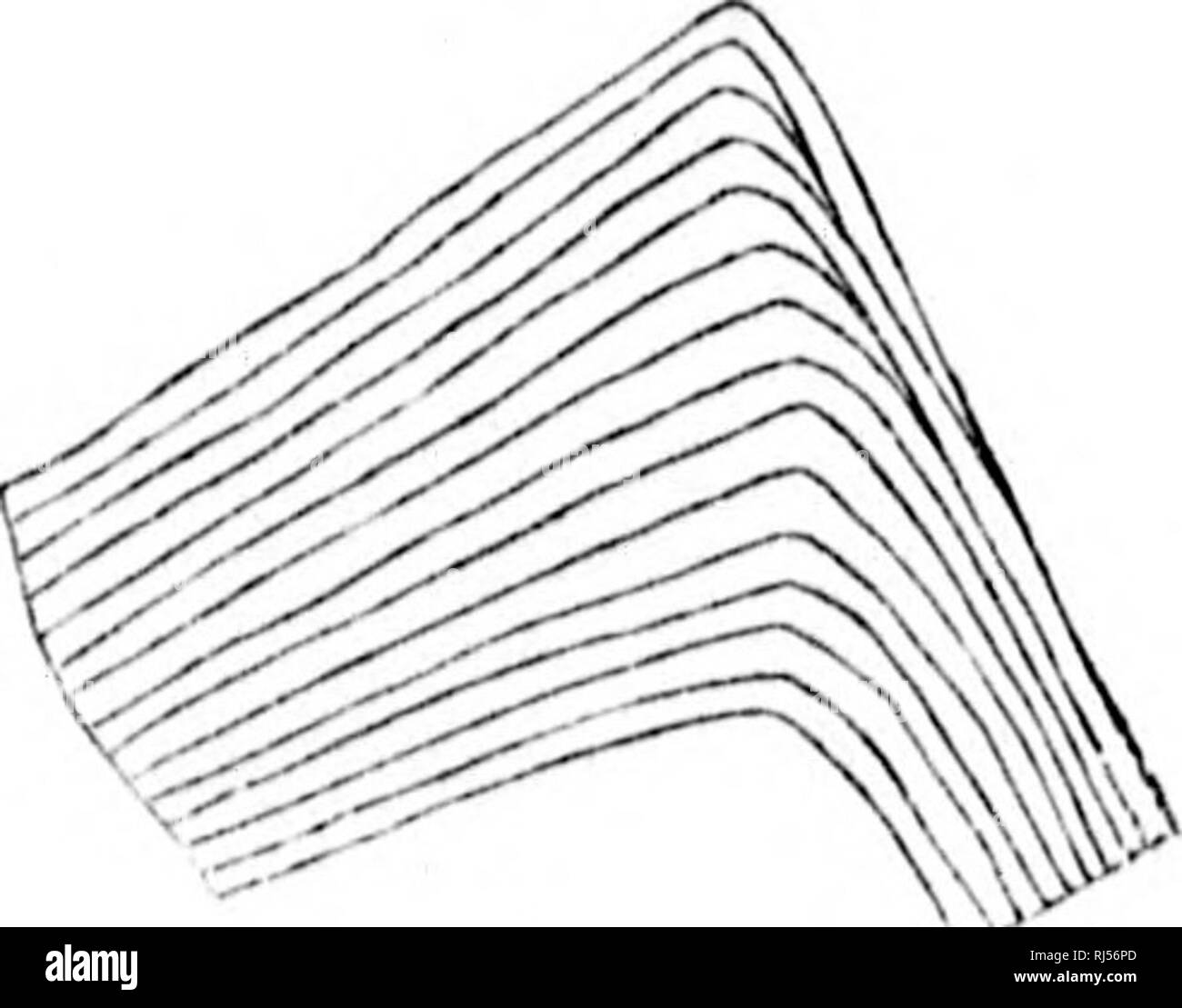 . Acadian geologia [microformati] : la struttura geologica, resti organici e delle risorse minerarie della Nova Scotia, del New Brunswick e del Prince Edward Island. Geologia e Paleontologia, Geologia; Geologia; geologiche; PalÃ©ontologie; GÃ©ologie; GÃ©ologie. peculiare oolitic .struttura, costituita da un laminato di base coaly impuro di materia o terrose il bitume con cristallina granuli calcarei, wliich vengono rimossi dagli agenti atmosferici, e lasciare una luce vescicolare residui infiammabili di molto singolare aspetto. Le formazioni argillose sono in alcuni luoghi notevolmente piegata e ontorted, come se per la pressione laterale quando in uno stato morbido. Un pa Foto Stock