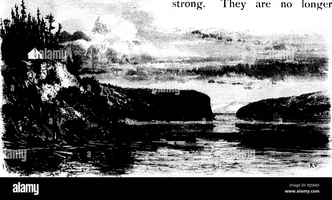 . Sport con la pistola e l'asta in legni americani e acque [microformati]. Caccia; Caccia; Pesca; Pesca; Chasse;; Chasse Pêche sportive; Pêche sportive. 532 Mare - La pesca alla trota. Ir : V •' a sud del lago, wc voltare le spalle a nulla tra it' e Hudson's stretti, eccetto i deprimenti sohtudes del Labrador, con pochi pacifica tribù indiana disseminate attraverso di loro. Nella sua caduta del duecento piedi attraverso sette miglia, tra l'uscita e la home camp, il fiume BRC-aks in magnifiche piscine, drenato dalla Sharp, ruvida rapids, con lunghi tratti intermedi di acque profonde in agguato-luoghi ( Foto Stock