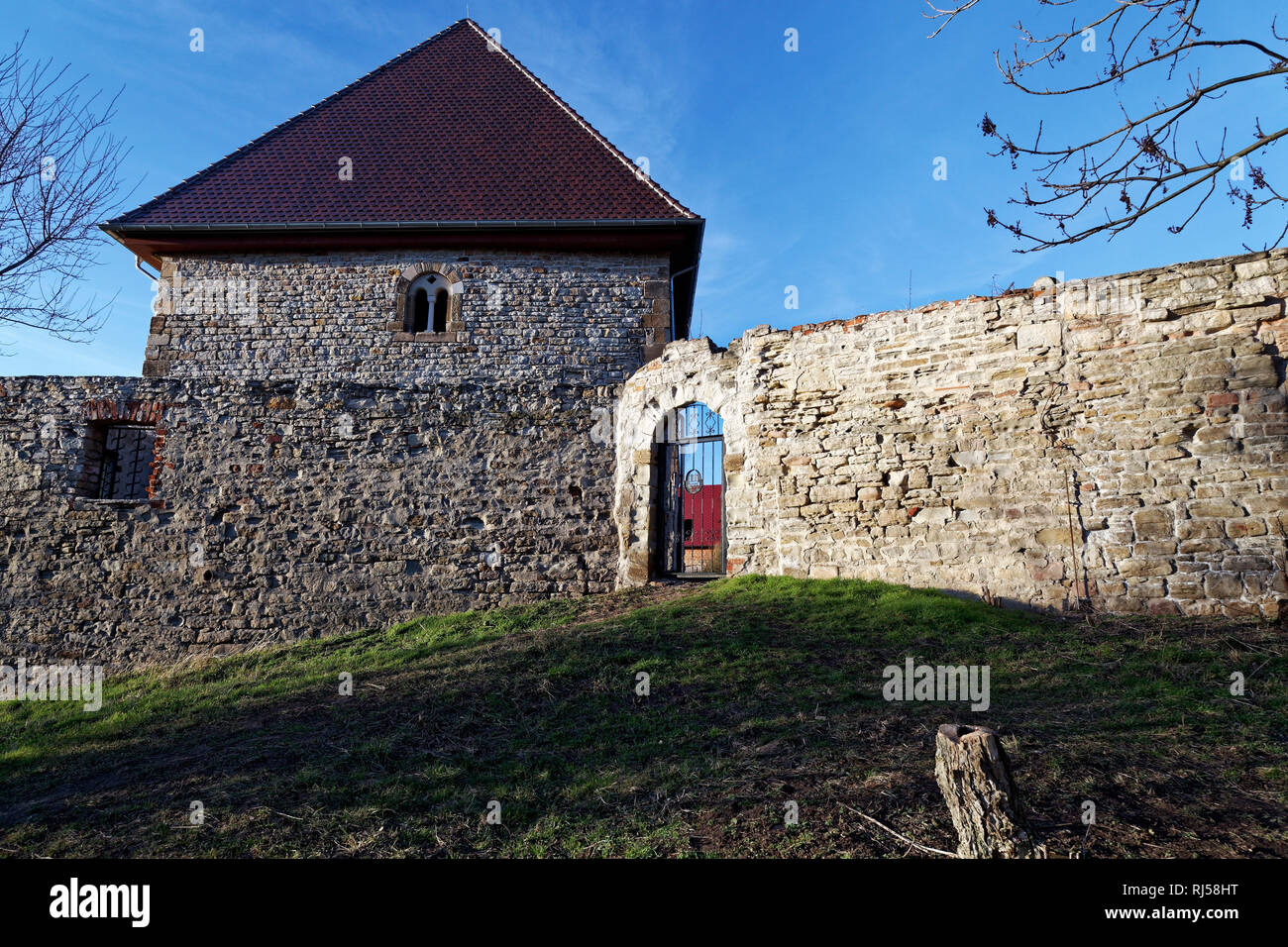 Romanisches Fenster im Kloster Posa bei Zeitz, Sachsen-Anhalt, Deutschland Foto Stock