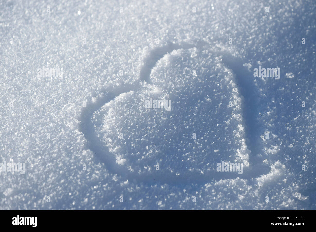 Herz, Schnee, Nahaufnahme Foto Stock